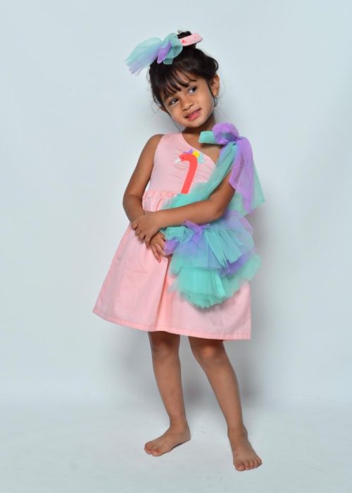 Peach Flamingo Party Dress