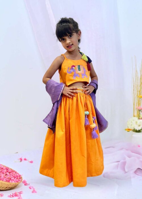 Orange Embro Lehenga Set